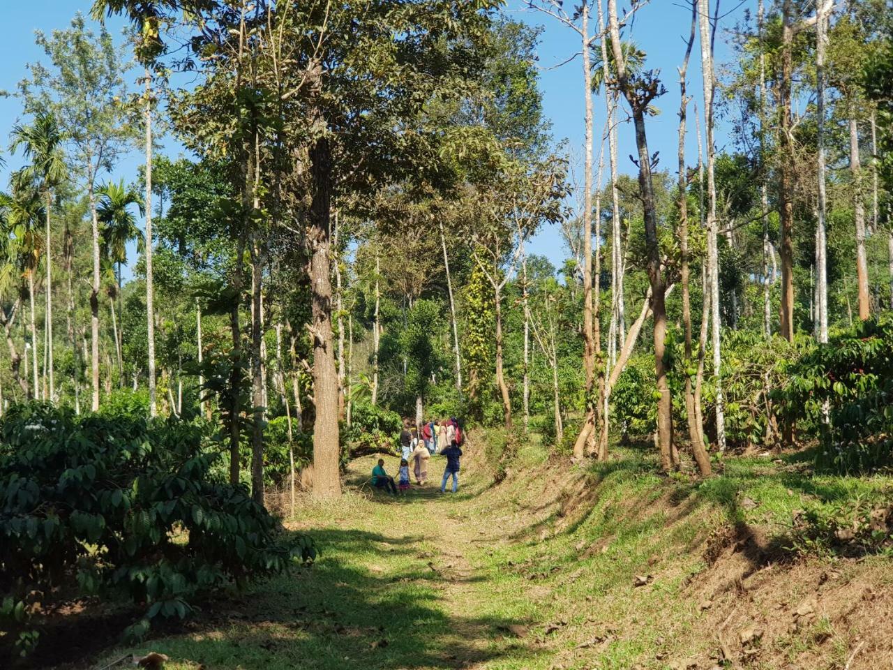 The Suvistara Wayanad Kerala Bed & Breakfast Meenangadi Bagian luar foto