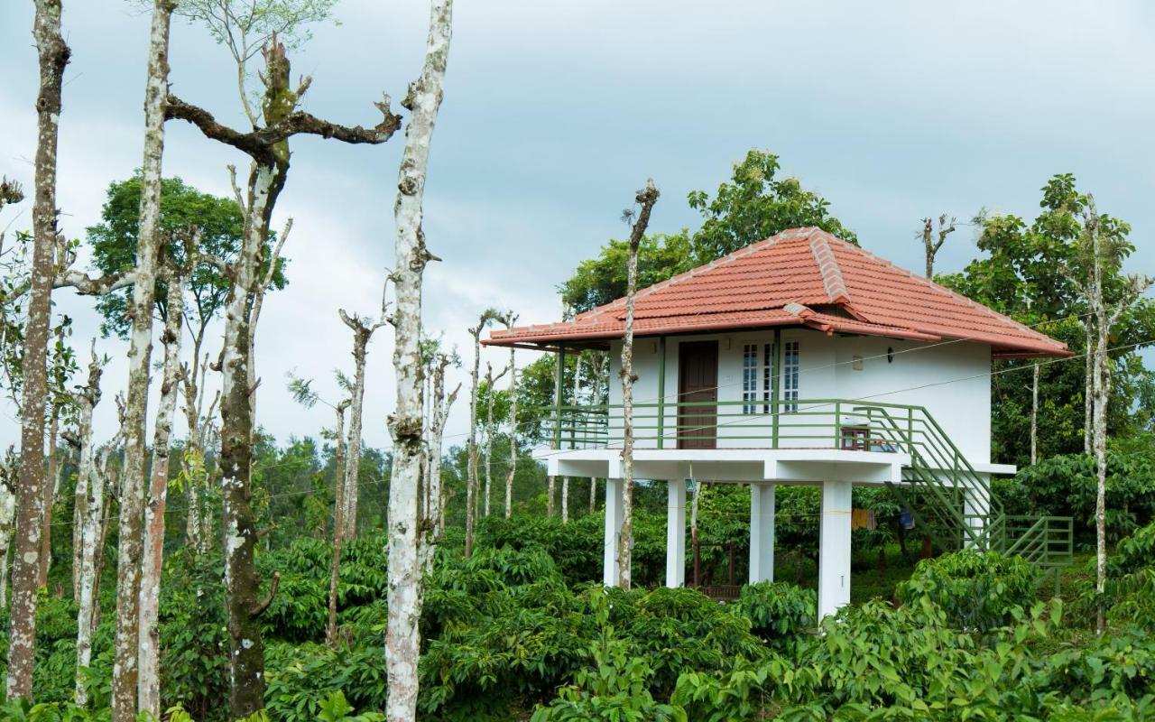 The Suvistara Wayanad Kerala Bed & Breakfast Meenangadi Bagian luar foto